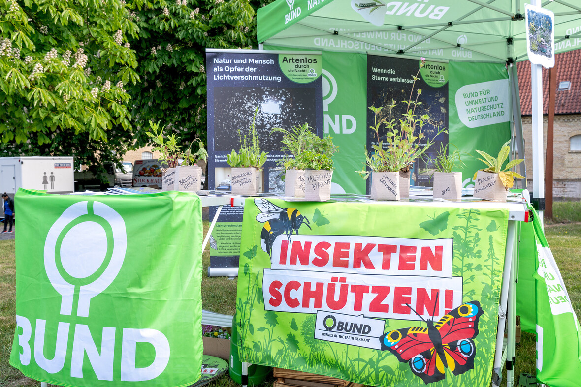 Ein Aktionsstand des BUND mit Infos zum Schutz von Insekten